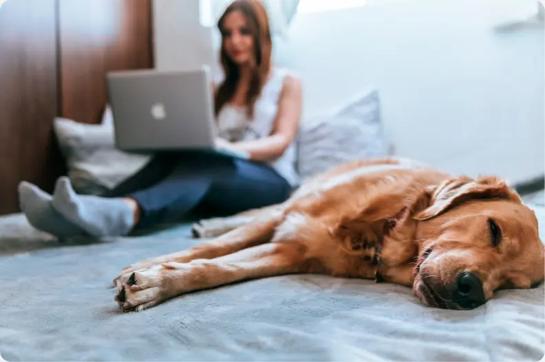 Running A Dog Breeding Business