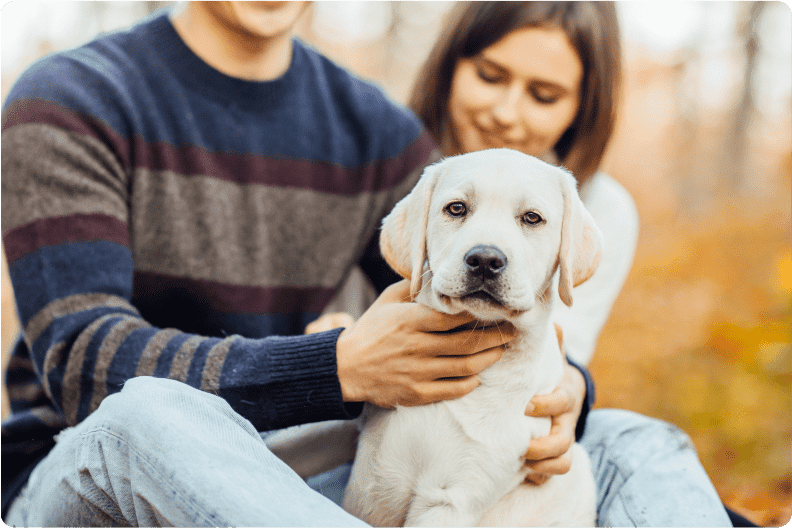 How to Become a Dog Breeder